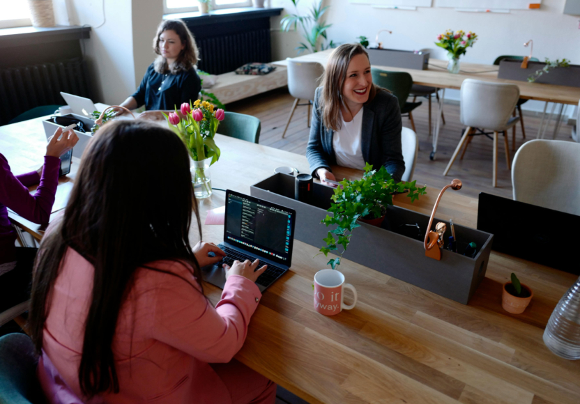 Fyra personer jobbar vid bord i ett ljust kontor med växter och laptops